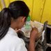 Mais três focos de dengue são identificados no Centro de São João Batista