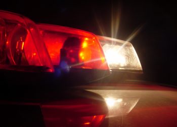 Homem é preso em Nova Trento com mandado de prisão por furto em Brusque