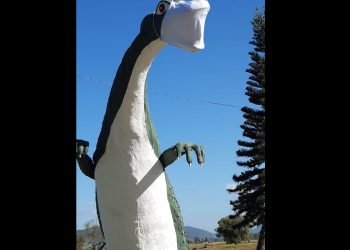 Dino, de Tijucas, se alia à campanha de conscientização pelo uso de máscaras