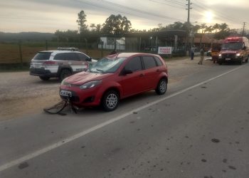 Homem morre atropelado na rodovia SC-410, em Canelinha