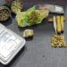 Homem investigado por furto em residências é preso com drogas em casa, em Nova Trento
