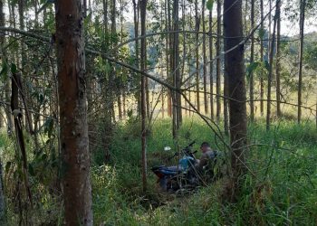 Motocicleta é recuperada em meio a mata, em São João Batista