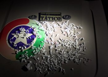 Mulher é presa por tráfico de drogas em Tijucas