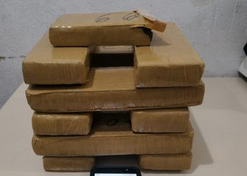 Quase dez quilos de drogas são apreendidos pela polícia, em Tijucas
