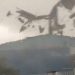 Ciclone extratropical chega ao Vale do Rio Tijucas e causa grandes estragos