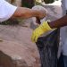 Semais de Canelinha alerta para separação do lixo de pessoas com coronavírus