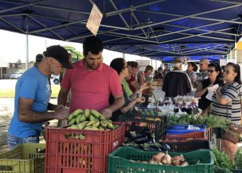 Feira da Agricultura Familiar e Artesanato acontece no sábado, em Canelinha