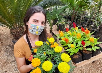 Fenômeno La Niña influenciará no clima e temperatura da primavera