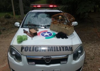 Após denúncia, homem é flagrado com pássaro e objetos de caça, em Major Gercino