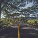 CRÔNICA: Rota de viagem