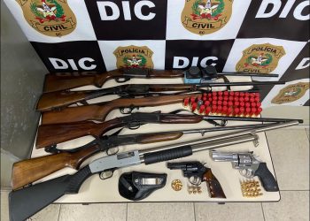 Operação policial apreende oito armas de fogo, munições e prende dois homens