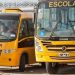 Estudantes universitários terão acesso gratuito ao transporte, em Nova Trento
