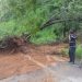 Deslizamento de terra bloqueia meia pista da rodovia SC-108, em Major Gercino