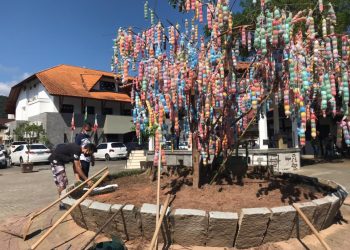 Prefeitura de Nova Trento inicia paisagismo na Praça Del Comune, em frente à prefeitura