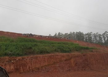 Sisam estuda reaproveitamento do lixo orgânico de São João Batista