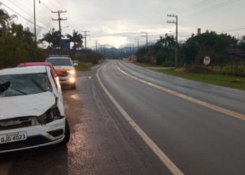 Carro da Secretaria de Saúde de Major Gercino se envolve em acidente com búfalo
