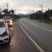 Carro da Secretaria de Saúde de Major Gercino se envolve em acidente com búfalo