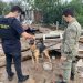 Cachorros são resgatados em situação de maus tratos