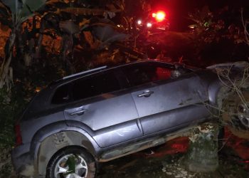 Motorista sai da pista e bate em bananeiras no Morro da Onça em Nova Trento