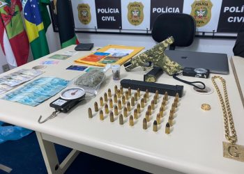 Operação conjunta apreende veículos, drogas, armas e munições