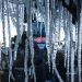 Dia mais frio do ano: Santa Catarina registra -8,9ºC nesta sexta-feira