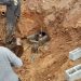 Secretaria de Obras de Canelinha realiza melhorias durante a semana