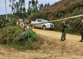 Homem morre ao ser atingido por queda de árvore, em Leoberto Leal
