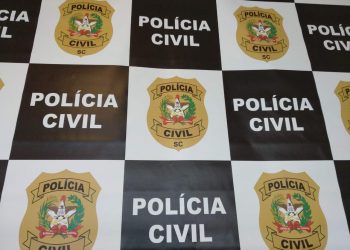 Estelionato tem queda de 28% na média móvel em Santa Catarina