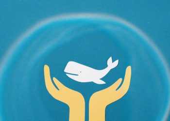 Os quiprocós dos problemas e a consciência
