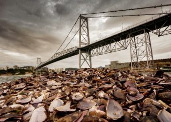 Serviços de manutenção vão evitar novas interdições das pontes de acesso a Florianópolis