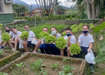 Escola em Tigipió desenvolve horta comunitária