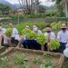 Escola em Tigipió desenvolve horta comunitária