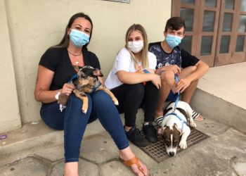Nova Trento realiza mutirão de castração de cães e gatos