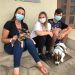 Nova Trento realiza mutirão de castração de cães e gatos