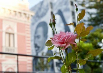 Exposição de 200 anos de Anita Garibaldi inspira nova proposta de interação com público