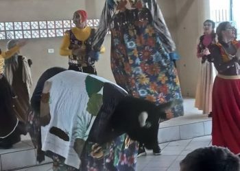 O padre Cruz, os negros e o boi