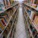Estado anuncia contratação de bibliotecários, psicólogos, assistentes sociais e nutricionistas para a Educação
