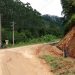 Nova Trento realiza limpeza e abertura da estrada de acesso ao bairro Pitanga