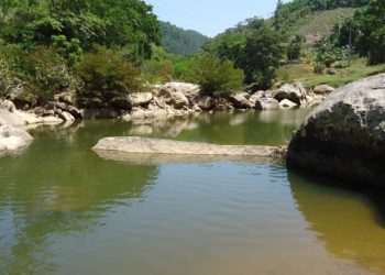 Secretaria de Agricultura promove campanha para limpeza de rios e córregos de Nova Trento