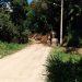Nova Trento interdita trecho da estrada do Ribeirão da Velha para limpeza e alargamento