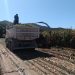 Serviço de ensiladeira da Secretaria de Agricultura irá gerar 280 toneladas de silo em Nova Trento