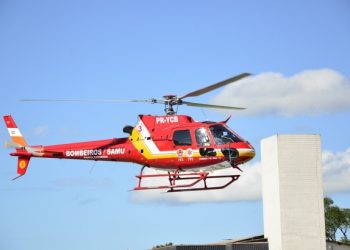 Criança é picada por cobra coral em Nova Trento