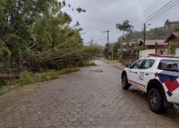 São João Batista registra quedas de árvores e destelhamentos