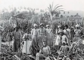 Histórias de Escravidão em São João Batista