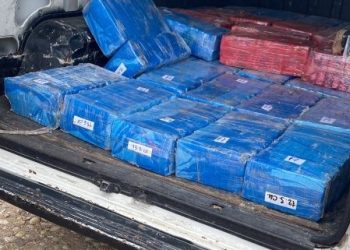Polícia apreende 700 quilos de maconha e seis quilos de crack em São João Batista