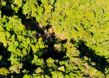 Defesa Civil de São João Batista interdita temporariamente duas residências no Macaco Branco
