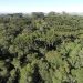 Mês do Meio Ambiente será marcado por programação especial em Santa Catarina