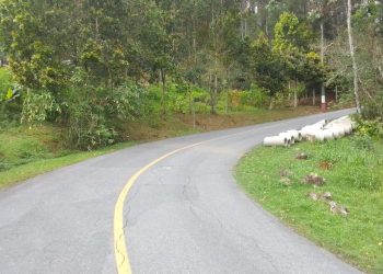 Estrada geral do Morro da Cruz será interditada para drenagem nesta terça-feira