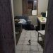 Em São João Batista, homem é assassinado após discussão por um cachorro