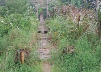 Moradores pedem a recuperação de ponte pênsil no Caçador, interior de Major